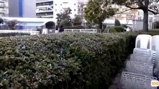 欧美四级片_欧美亚洲精品成人视频